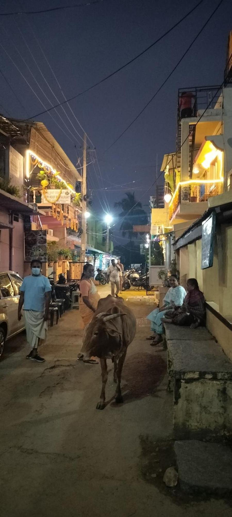 Gopi Guest House Hampi Luaran gambar